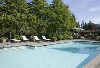 A pool surrounded by trees and lounge chairs.